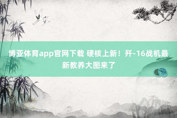 博亚体育app官网下载 硬核上新！歼-16战机最新教养大图来了