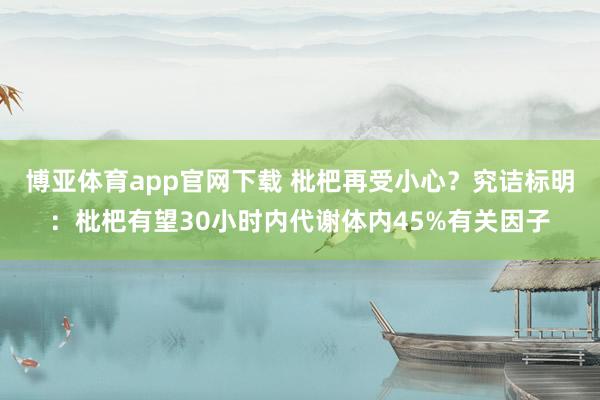 博亚体育app官网下载 枇杷再受小心?究诘标明:枇杷有望30小时内代谢体内45%有关因子