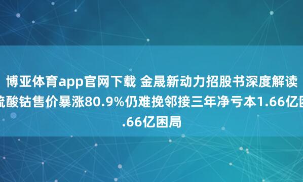 博亚体育app官网下载 金晟新动力招股书深度解读:硫酸钴售价暴涨80.9%仍难挽邻接三年净亏本1.66亿困局