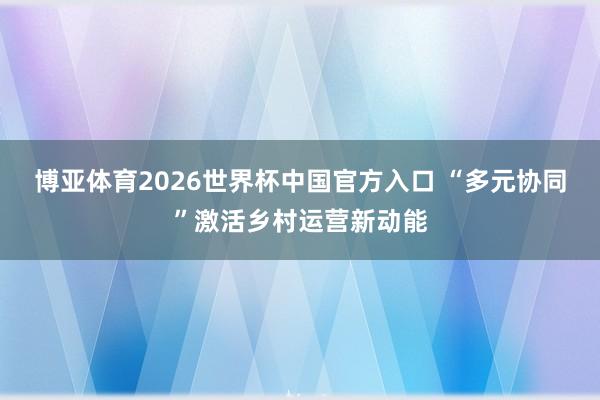 博亚体育2026世界杯中国官方入口 “多元协同”激活乡村运营新动能