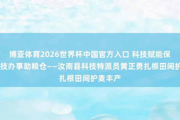 博亚体育2026世界杯中国官方入口 科技赋能保丰充 农技办事助粮仓——汝南县科技特派员黄正勇扎根田间护麦丰产