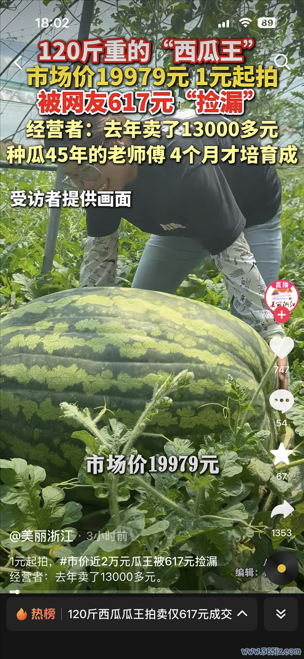 120斤西瓜瓜王拍卖仅617元成交!阛阓价19979元 前年同款拍到1.3万