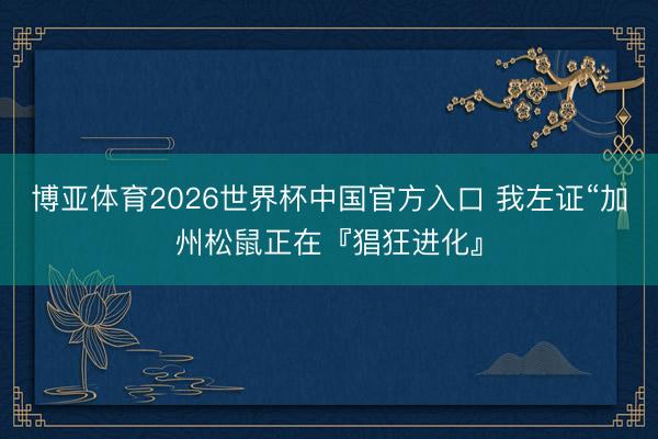 博亚体育2026世界杯中国官方入口 我左证“加州松鼠正在『猖狂进化』